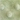 Winter Green