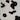 Moo