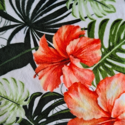 Hibiscus