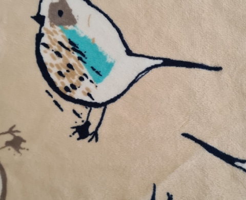 Tweet